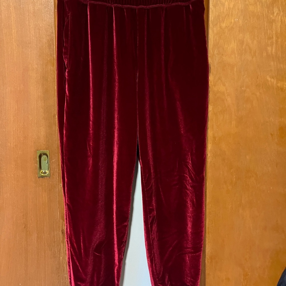 Women’s Fabletics Velvet Red Sweatpants